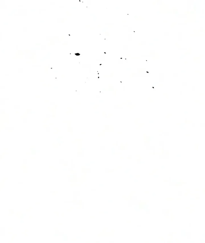 page 221